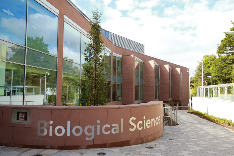 School of Biological Sciences, Queen's University Belfast